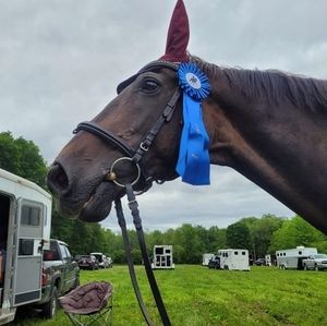 Meet your Posher, Lynn